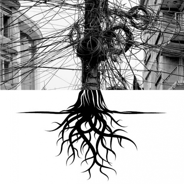Roots and Chaos